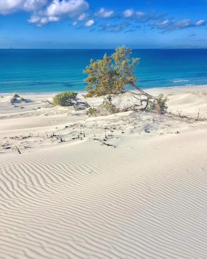 Case Vacanze Il Sogno 2 Порто Пино Екстериор снимка